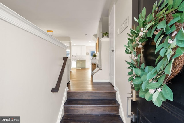 stairway with hardwood / wood-style flooring