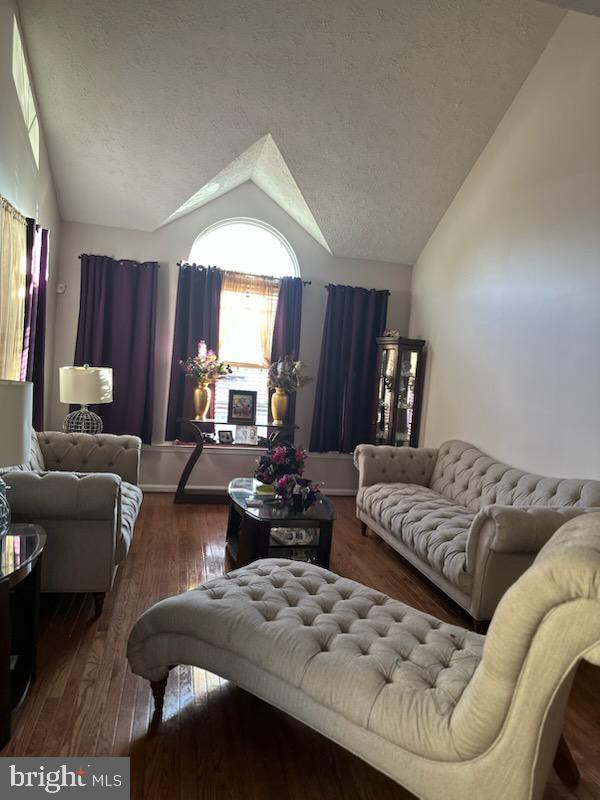 living room featuring vaulted ceiling, dark wood-type flooring, and a textured ceiling