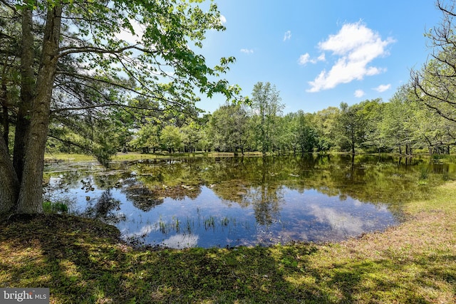 property view of water with a forest view