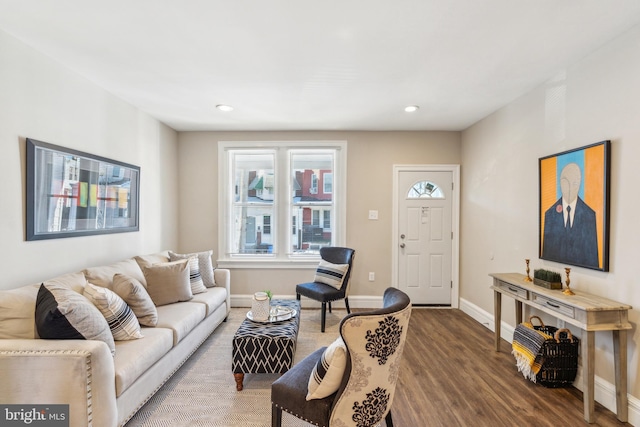 living room featuring wood-type flooring