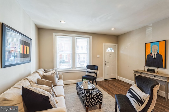 living room featuring hardwood / wood-style floors