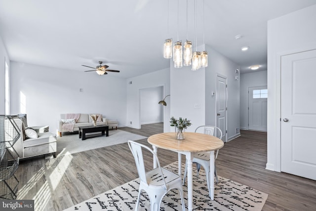 dining space featuring hardwood / wood-style flooring and ceiling fan