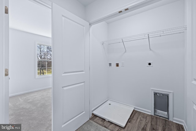 clothes washing area featuring washer hookup, hookup for an electric dryer, and carpet flooring