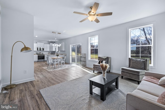 living room with hardwood / wood-style floors and ceiling fan with notable chandelier