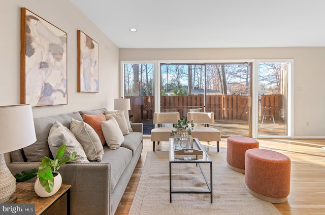 living room featuring light hardwood / wood-style floors