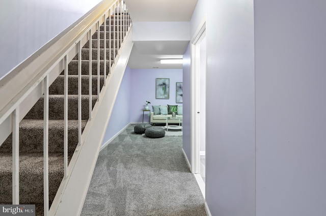 stairs featuring carpet