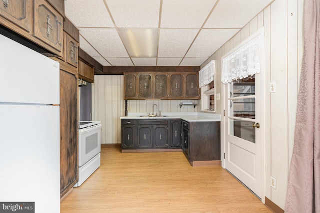 kitchen featuring sink, dark brown cabinetry, a drop ceiling, white appliances, and light hardwood / wood-style flooring