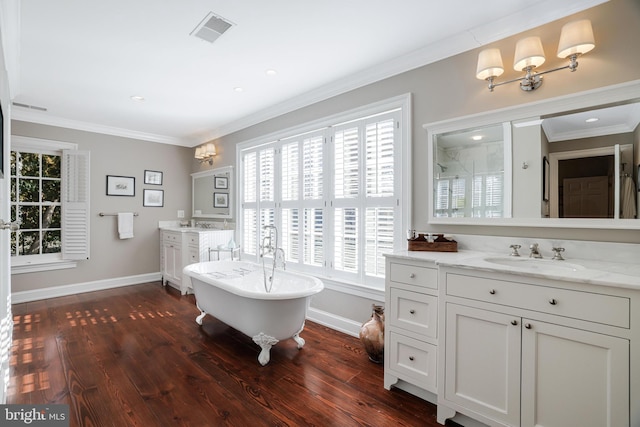 bathroom featuring wood finished floors, ornamental molding, a sink, and visible vents