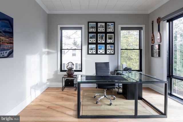 office space with ornamental molding, wood-type flooring, and a wealth of natural light