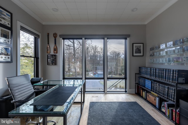 office space featuring ornamental molding and light hardwood / wood-style flooring