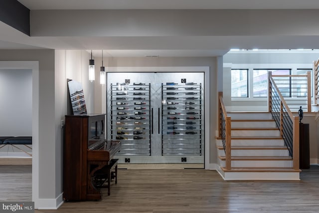 wine cellar with hardwood / wood-style floors