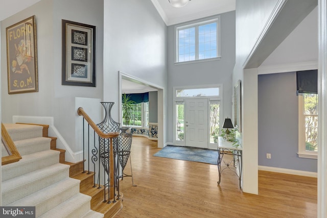 foyer featuring baseboards, a wealth of natural light, a high ceiling, and wood finished floors