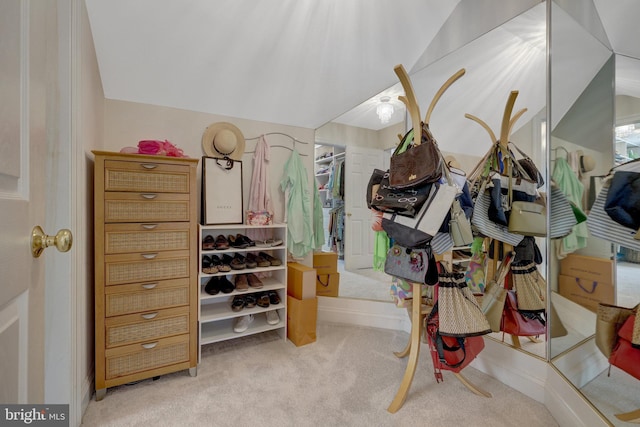 carpeted bedroom featuring a walk in closet and a closet