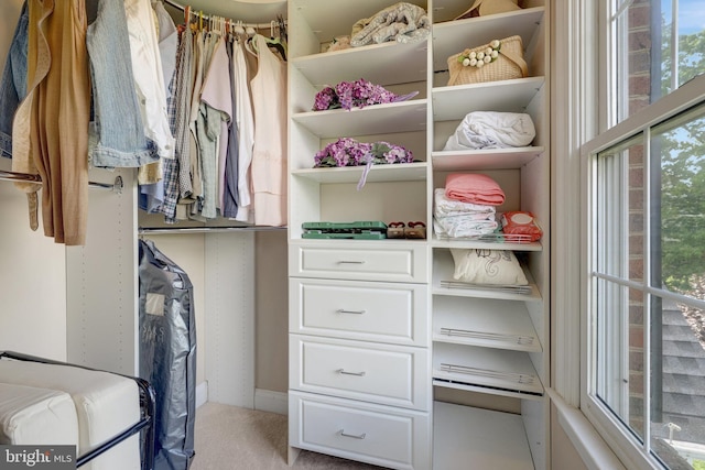 spacious closet with light colored carpet
