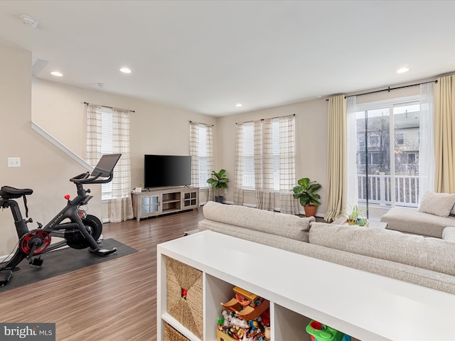 living room with hardwood / wood-style floors