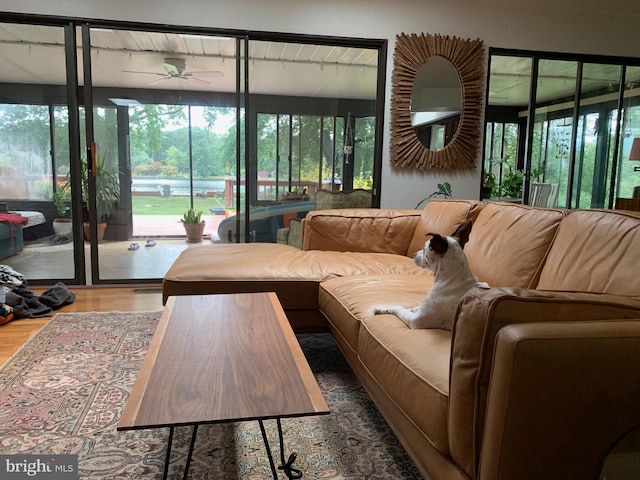 interior space with hardwood / wood-style floors, a healthy amount of sunlight, and ceiling fan