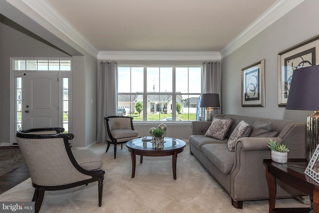 living room featuring crown molding