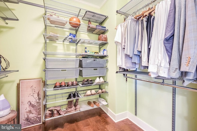 walk in closet with hardwood / wood-style flooring