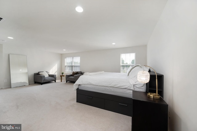 carpeted bedroom with multiple windows