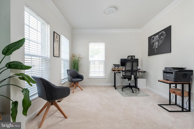 office space with light colored carpet and ornamental molding