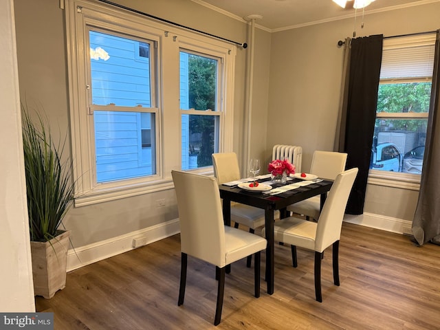 dining room featuring radiator, wood finished floors, crown molding, and baseboards
