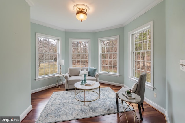 sitting room featuring dark wood-type flooring, crown molding, and baseboards