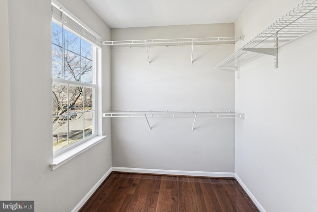 spacious closet featuring dark hardwood / wood-style floors