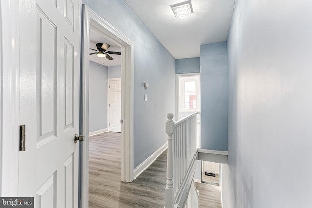 stairway with hardwood / wood-style flooring