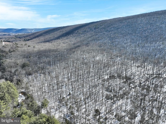 0 Creek Rd, Ashland PA, 17921 land for sale