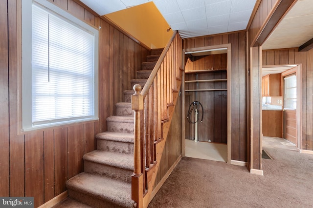 stairs featuring carpet flooring and wooden walls