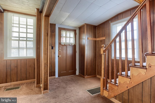 carpeted foyer entrance featuring a wealth of natural light and wood walls