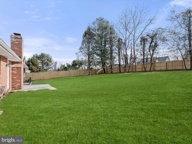 view of yard featuring a fenced backyard and a patio