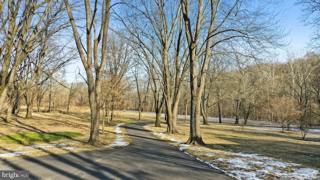 view of road