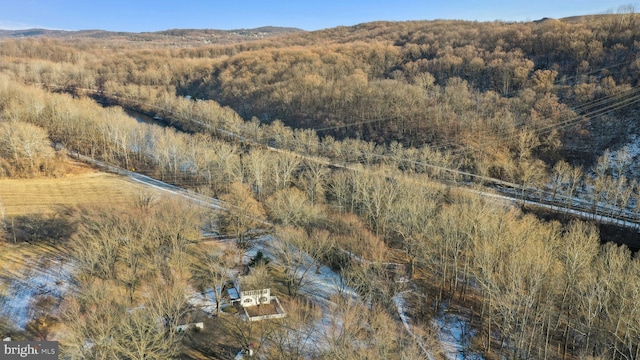 bird's eye view with a mountain view and a view of trees