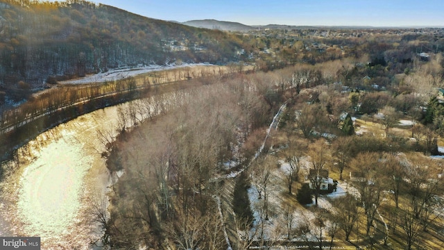 bird's eye view with a mountain view and a view of trees