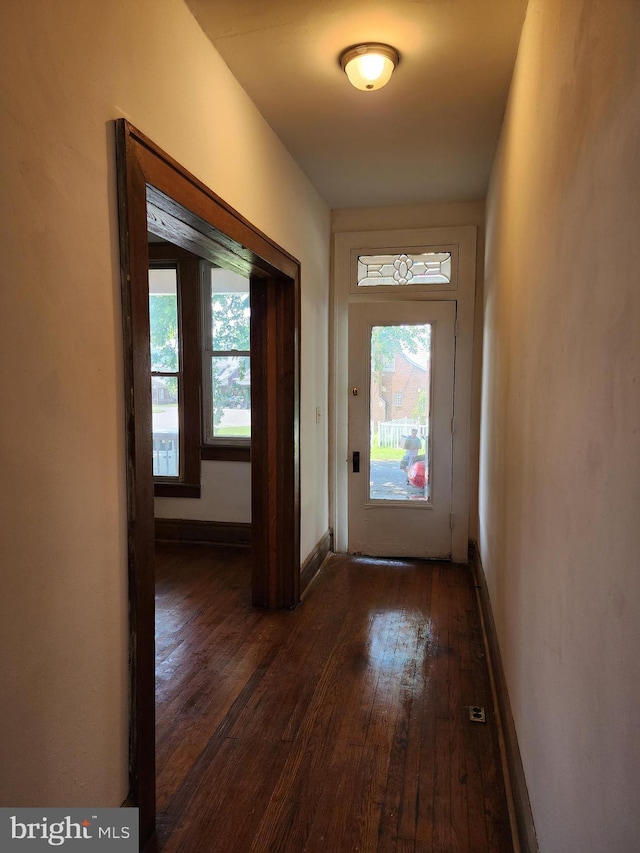 doorway to outside featuring dark hardwood / wood-style flooring