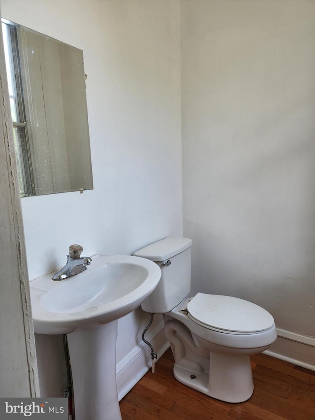 bathroom with hardwood / wood-style flooring and toilet