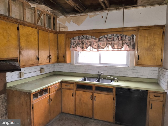 kitchen with black dishwasher and sink