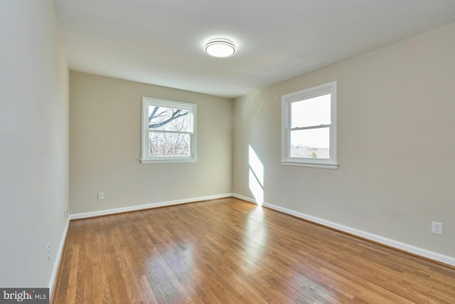 spare room with wood-type flooring