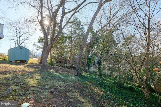 view of yard with a shed