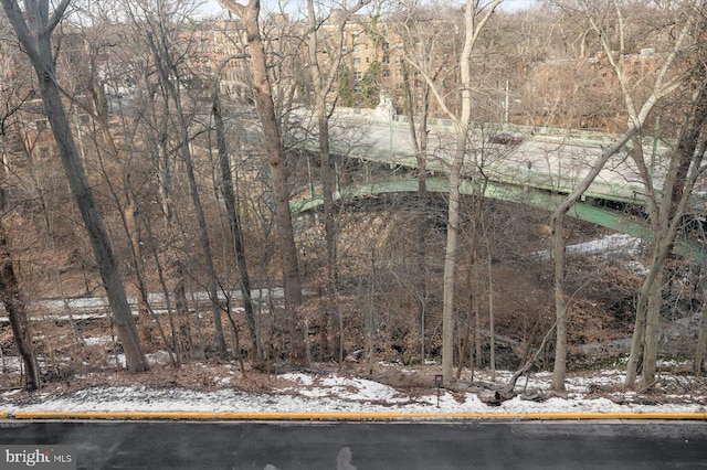 view of snowy landscape