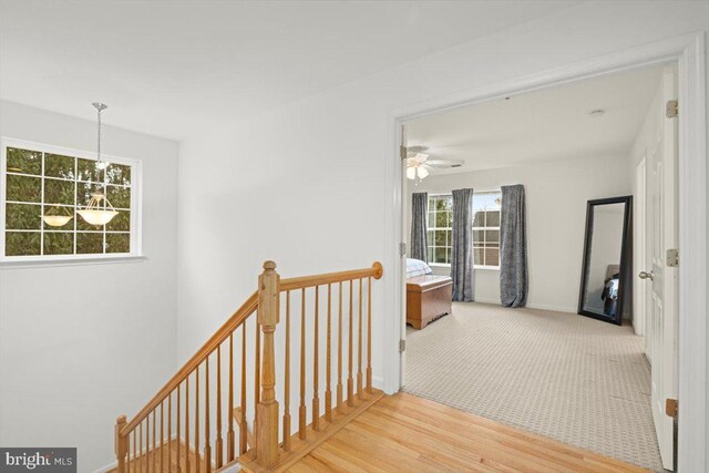 corridor featuring hardwood / wood-style floors