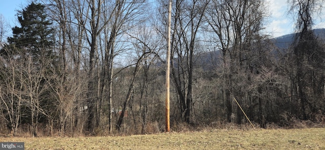 view of local wilderness