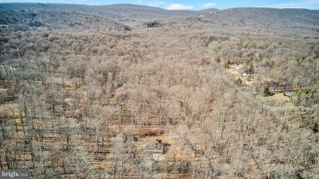 property view of mountains with a wooded view