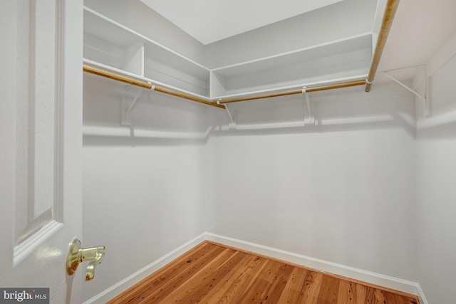 spacious closet with light wood finished floors