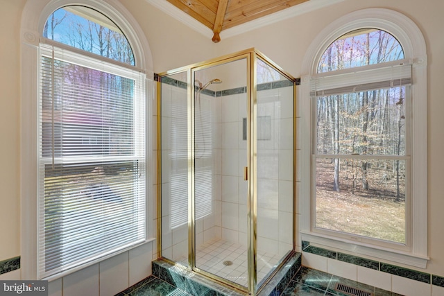 bathroom with plenty of natural light, a shower stall, and crown molding