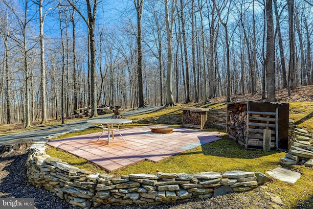 view of property's community featuring a patio, a fire pit, and a forest view