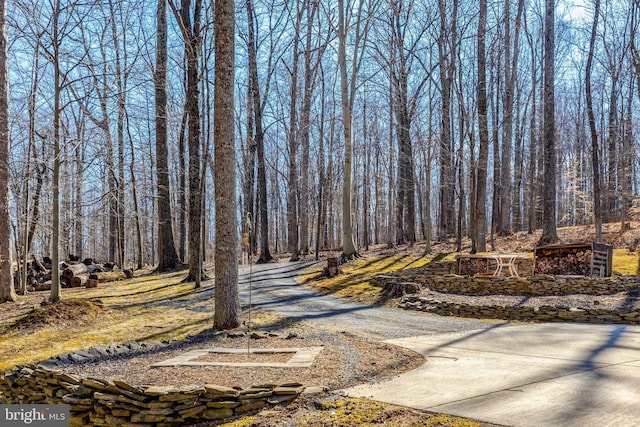 surrounding community with a view of trees