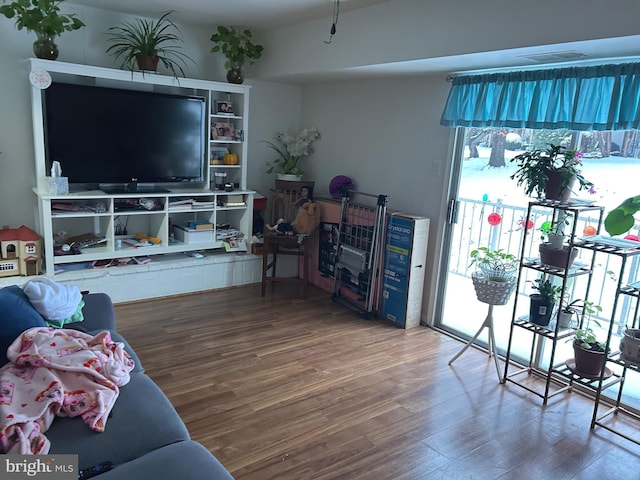 living room with wood-type flooring