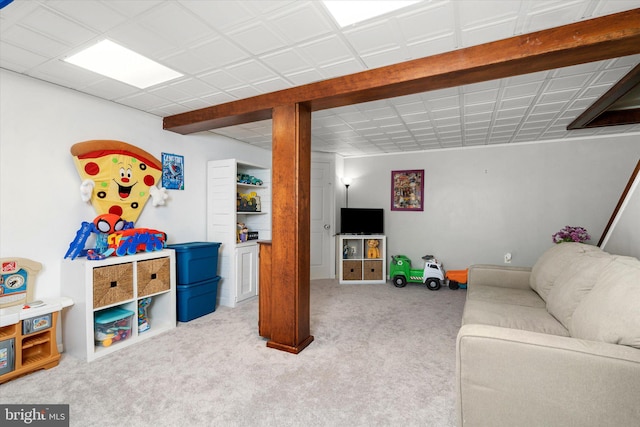 living room featuring light colored carpet